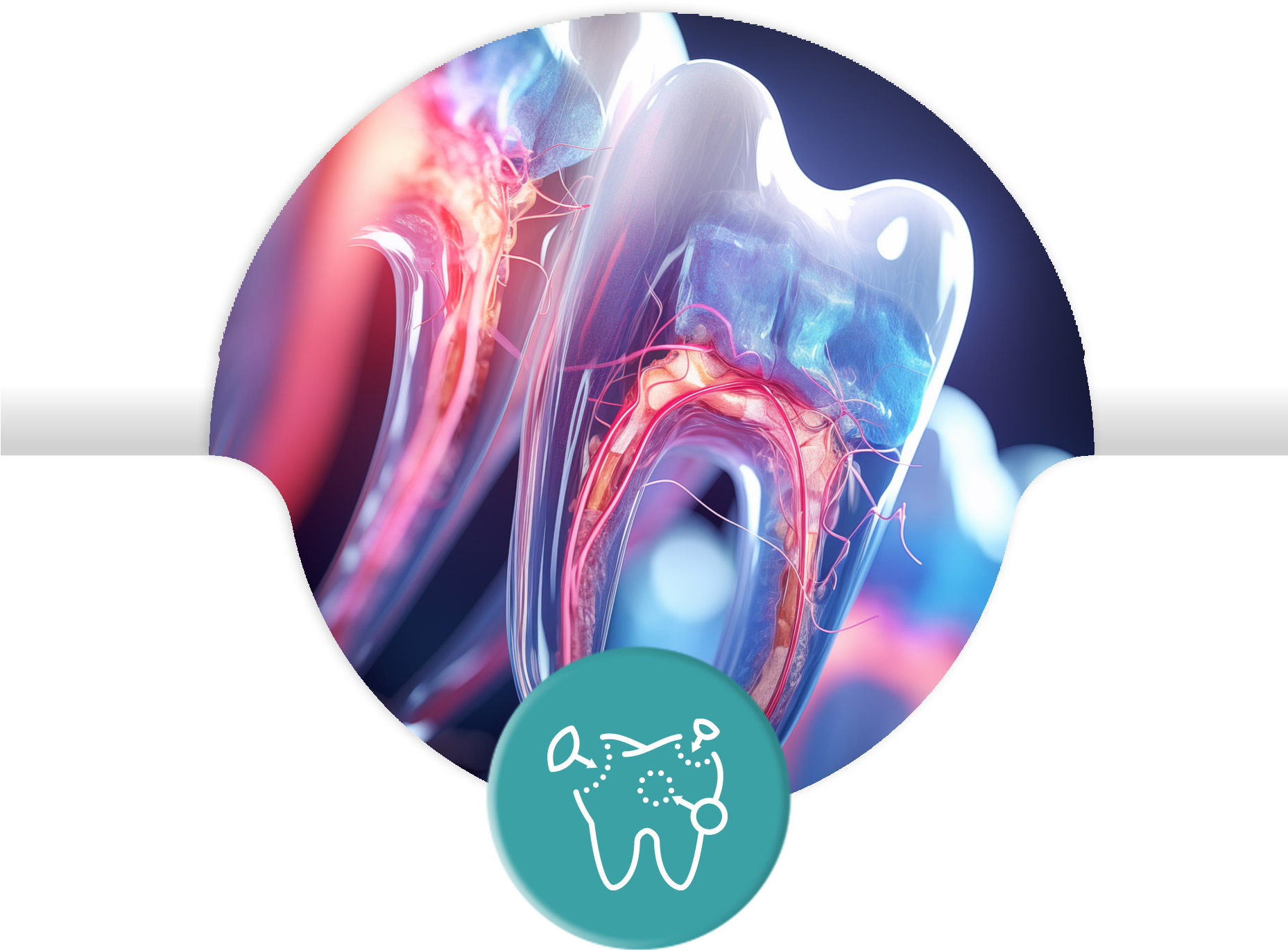 Endodonzia
